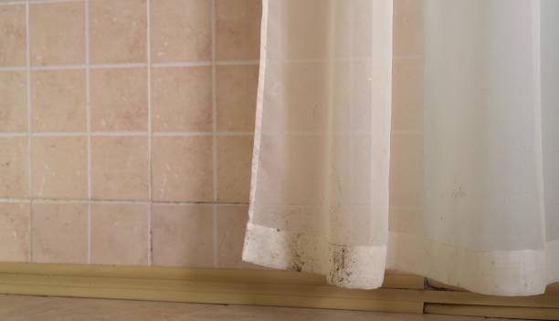 Best Dehumidification Services  in Sayreville, NJ
