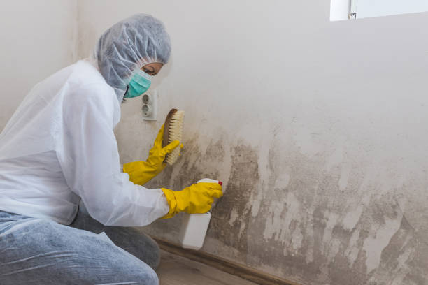 Best Mold Remediation for Healthcare Facilities  in Sayreville, NJ
