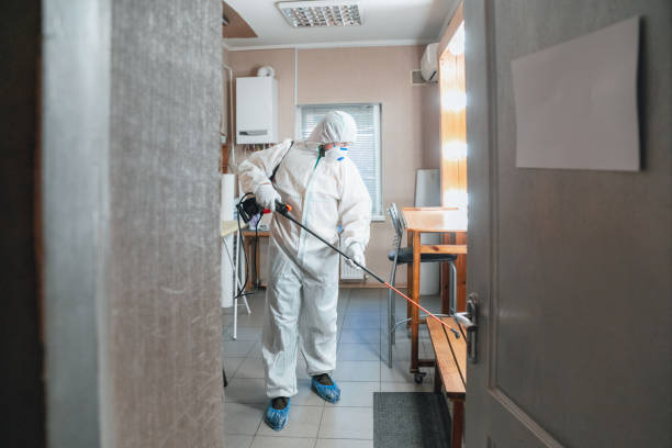 Reliable Sayreville, NJ Mold Removal Solutions