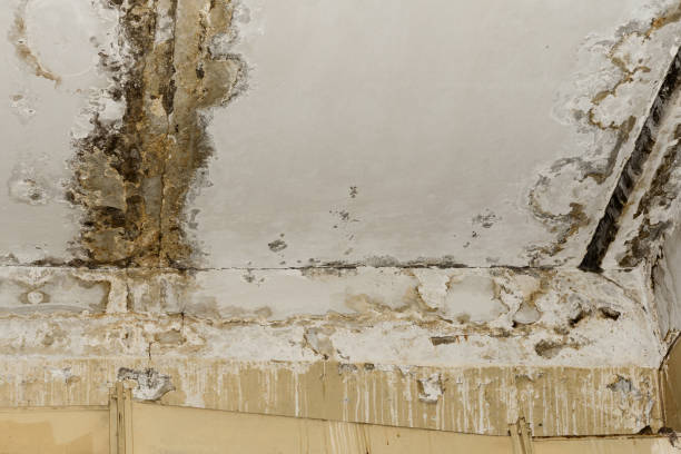 Best Post-Remediation Verification Testing  in Sayreville, NJ