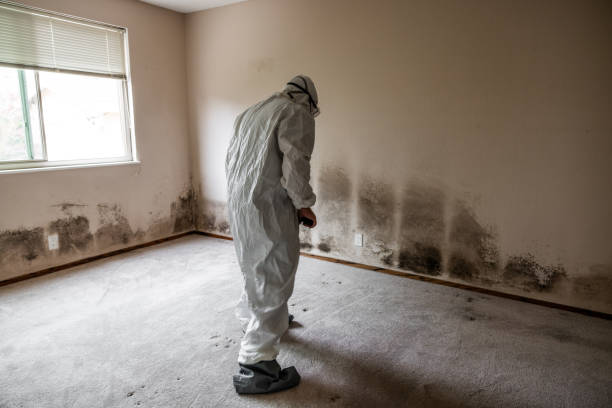 Best Biohazard Mold Removal  in Sayreville, NJ